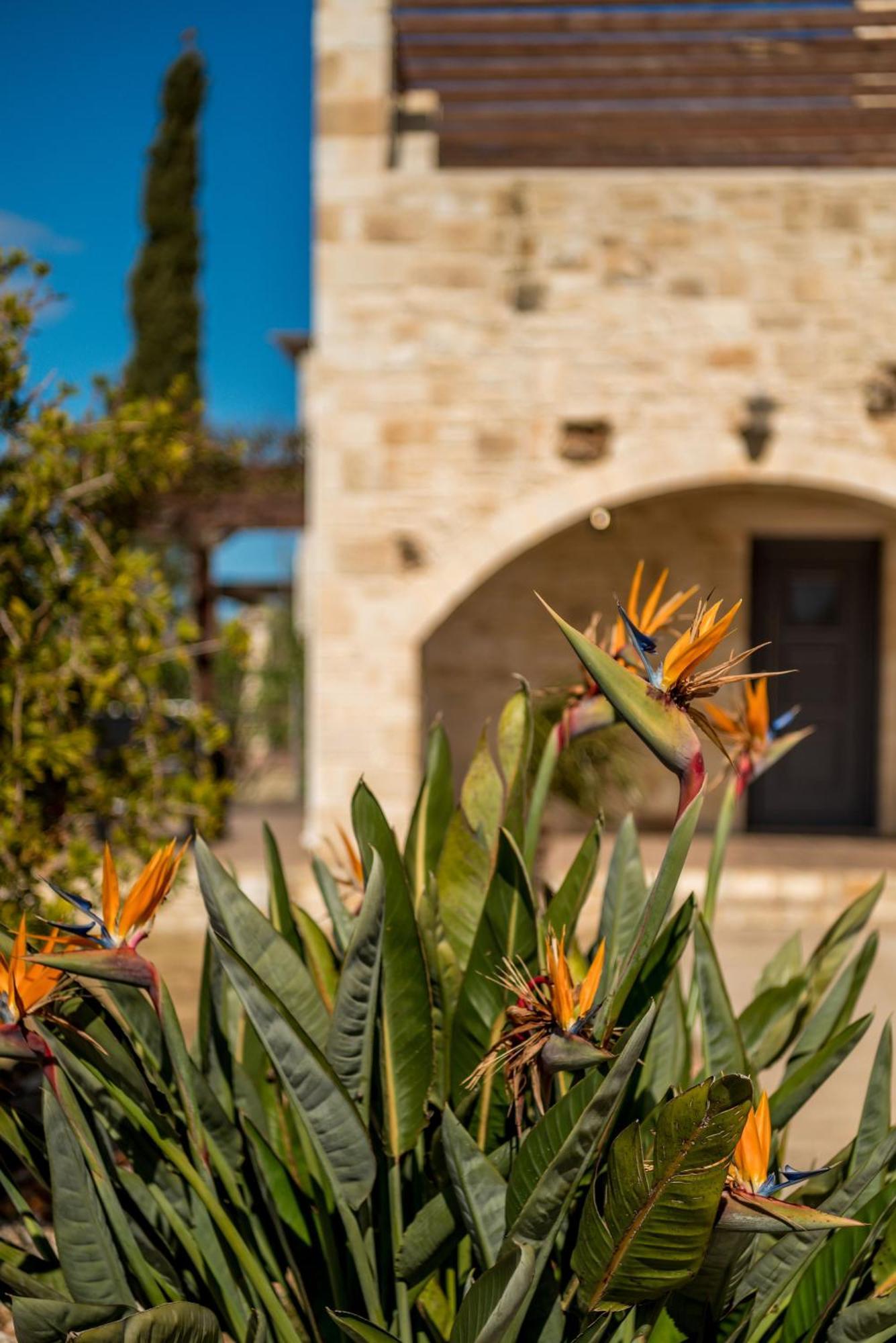 Villa Gloria Seaview - Luxury & Family Kokkino Chorio Kültér fotó